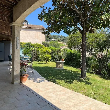 Small Paradise In Cannes