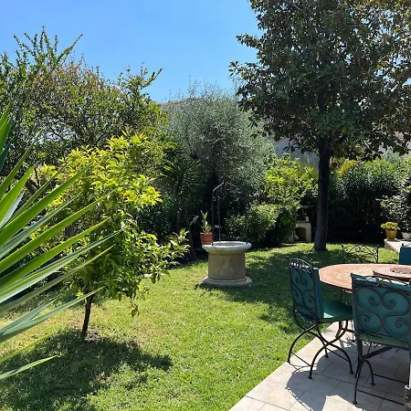 Small Paradise In Cannes